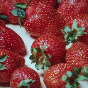 FRAGOLE - 5475