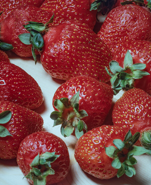 FRAGOLE - 5475