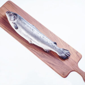 SALMONE - S04920 - 5577