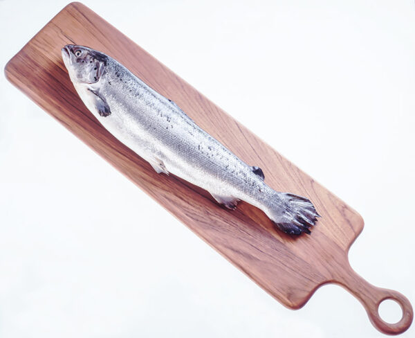 SALMONE - S04920 - 5577