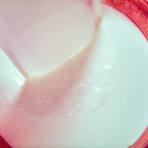 LATTE - 5595