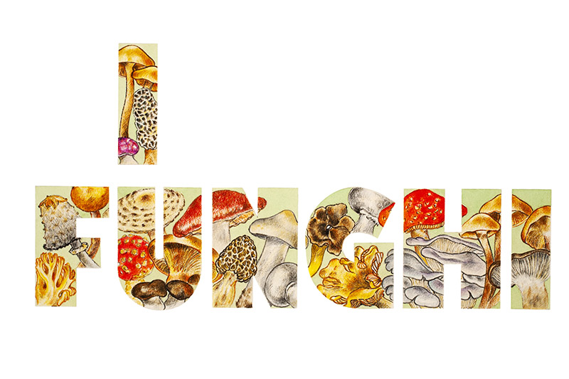 I FUNGHI - 5091 - immagine 1