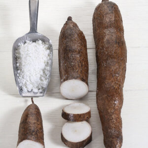 MANIOCA - YUCA - 7036