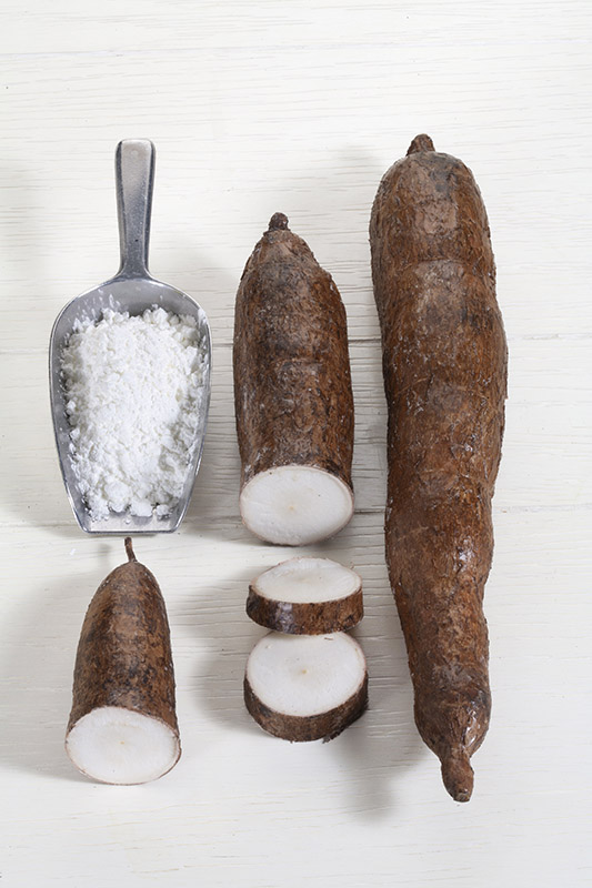 MANIOCA - YUCA - 7036