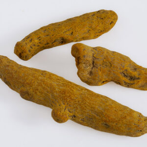 CURCUMA - 7962