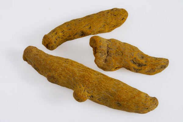 CURCUMA - 7962