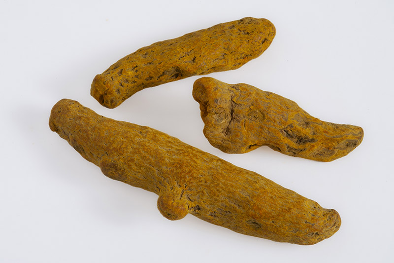 CURCUMA - 7962 - immagine 1