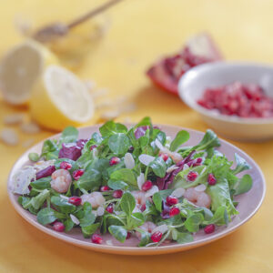 INSALATA SONGINO GAMBERETTI RADICCHIO MANDORLE E MELAGRANA - 7087