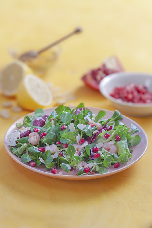 INSALATA SONGINO GAMBERETTI RADICCHIO MANDORLE E MELAGRANA - 7087