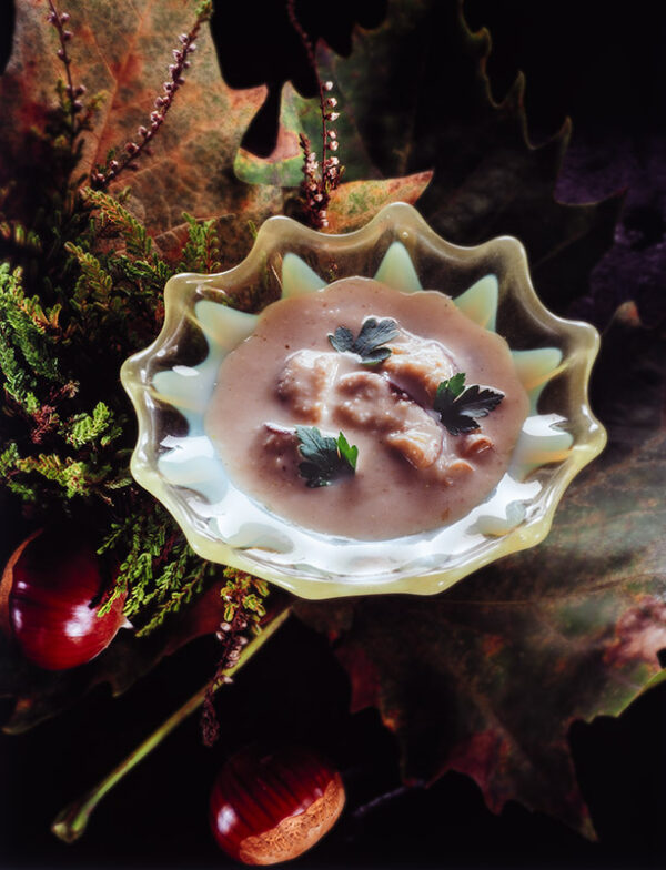 ZUPPA DEL BOSCO - GR2699 - 2019