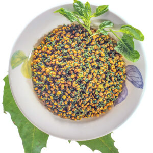 LENTICCHIE E SPINACI - 5792