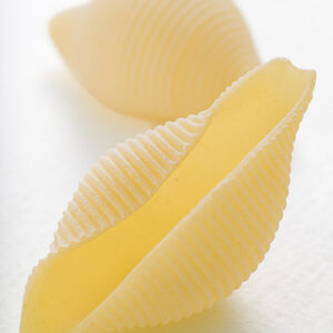 CONCHIGLIONI - GT6J3012