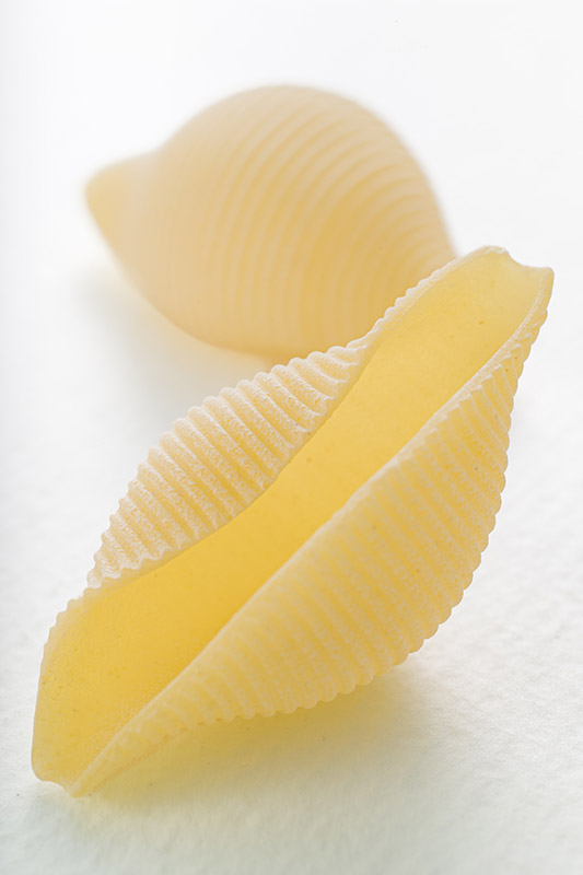 CONCHIGLIONI - GT6J3012