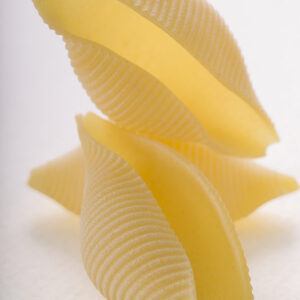 CONCHIGLIONI - GT6J3013