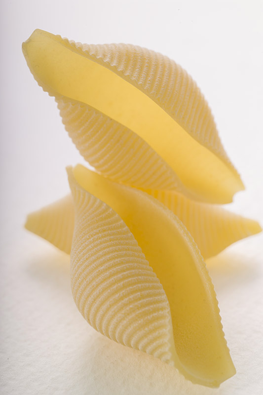 CONCHIGLIONI - GT6J3013