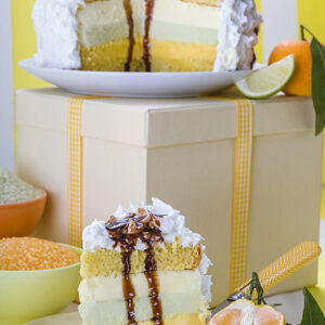 TORTA GELATO AGLI AGRUMI - K2634