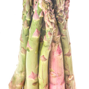 ASPARAGI MARY WASHINGTON - 0055