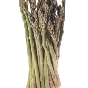ASPARAGI DI CAMPO - 0063