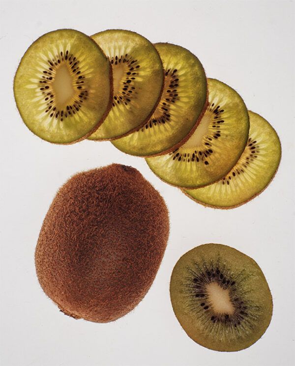KIWI - 0078