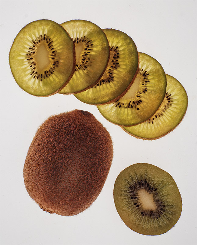 KIWI - 0078 - immagine 1