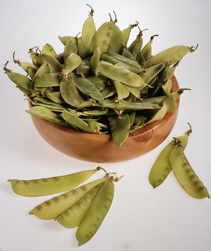 TACCOLE - 0086 - immagine 1