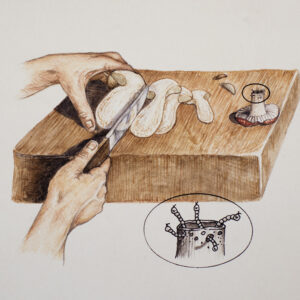 STEP 3, TAGLIARE, AFFETTARE, FUNGHI, CONTROLLO - 9975