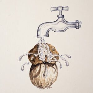 STEP 4, PULIRE I FUNGHI, COMPORTAMENTO DA EVITARE - 9976