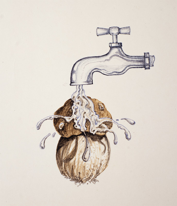 STEP 4, PULIRE I FUNGHI, COMPORTAMENTO DA EVITARE - 9976 - immagine 1