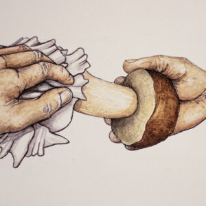 STEP 2 - PULIRE FUNGHI - 9974
