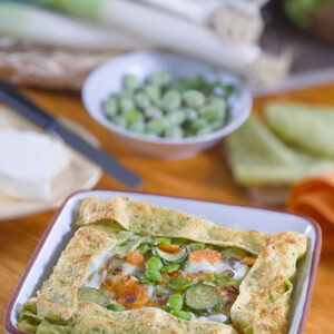 PASTICCIO DI LASAGNE PRIMAVERA - GT6J3170