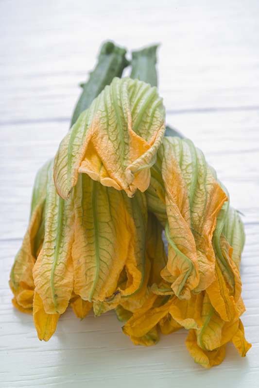 FIORI DI ZUCCHINA - GT6J0471