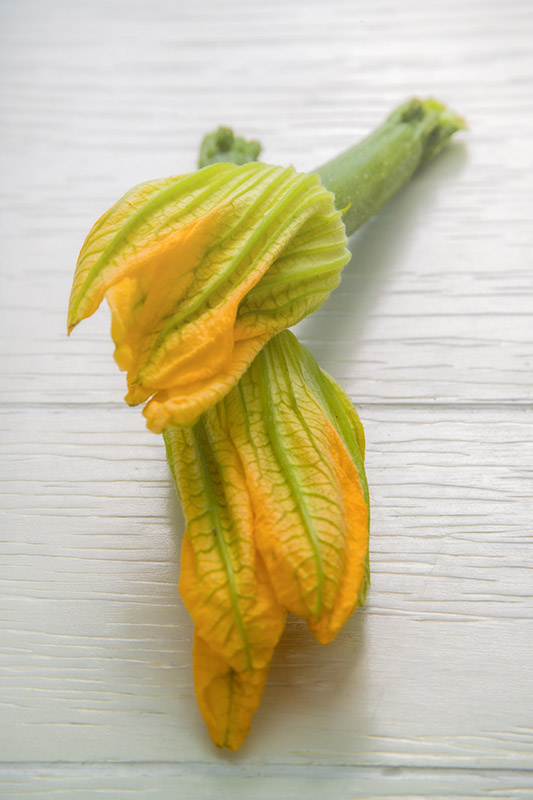 FIORI DI ZUCCHINE - GT6J0473