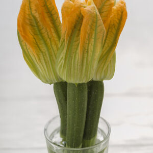 FIORI DI ZUCCHINA - GT6J0475
