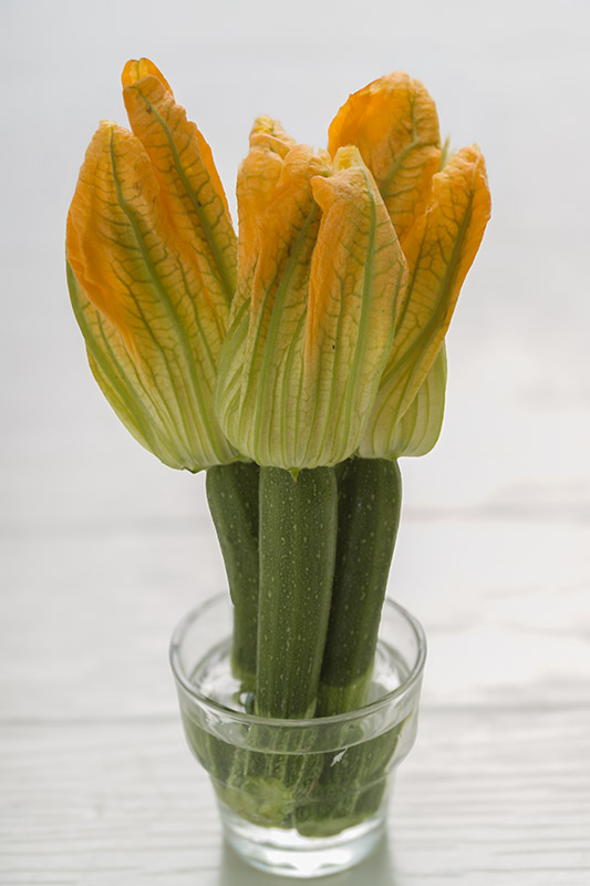 FIORI DI ZUCCHINA - GT6J0475