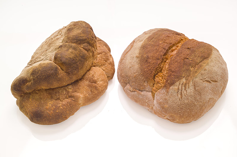 PANE DI MATERA - GT6J0870 - immagine 1