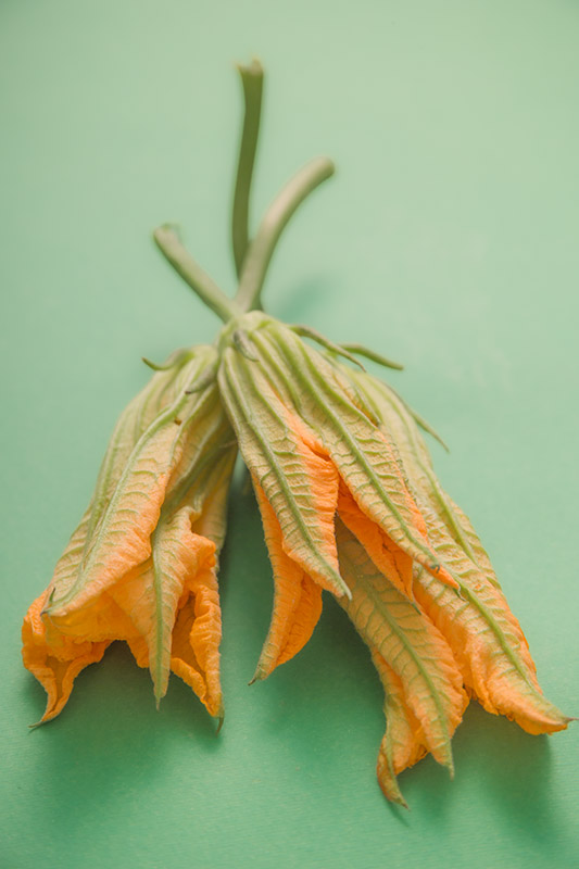 FIORI DI ZUCCHINE - GT6J1029