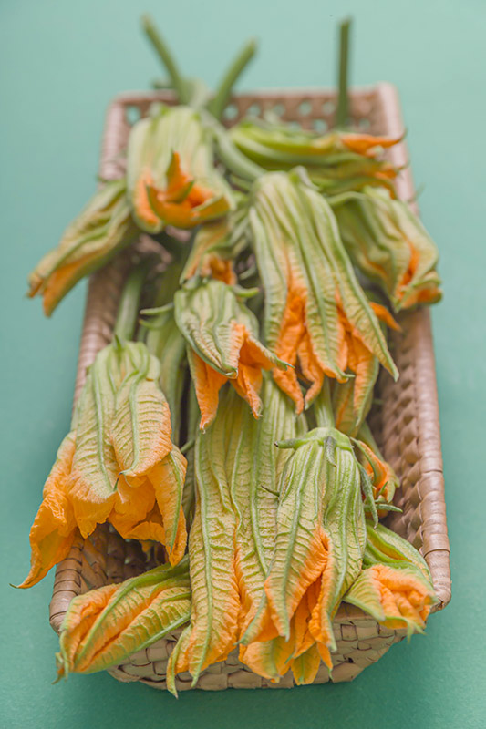 FIORI DI ZUCCHINE - GT6J1030