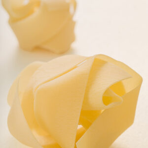 NIDO DI PAPPARDELLE - GT6J3011
