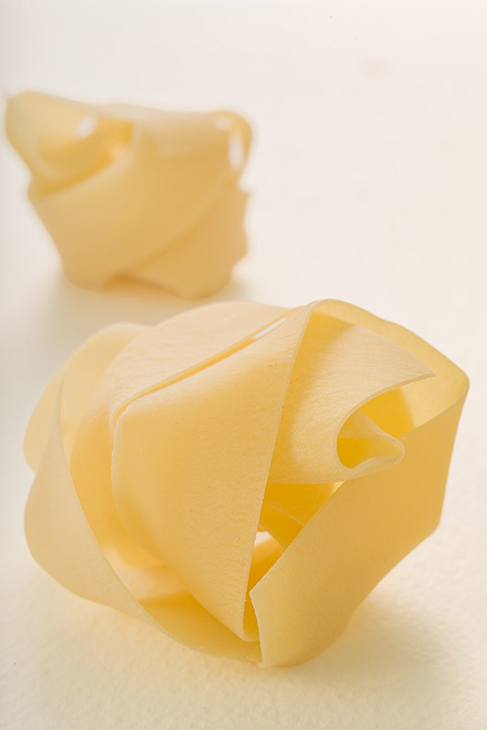 NIDO DI PAPPARDELLE - GT6J3011
