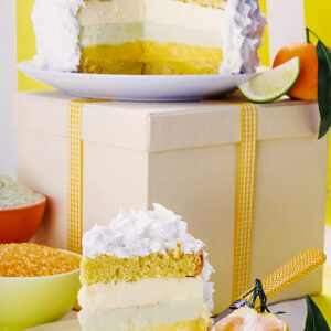 TORTA GELATO AGLI AGRUMI - K2632