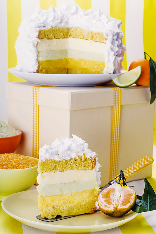 TORTA GELATO AGLI AGRUMI - K2632