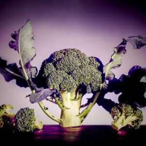 BROCCOLI - S01011575