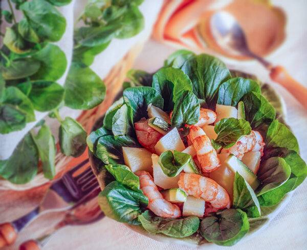 INSALATA DI GAMBERETTI - S71930 - 3460