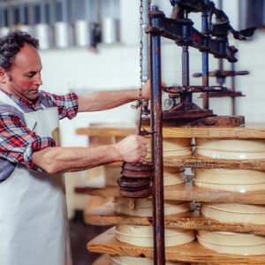 LAVORAZIONE TOMA FONTINA - 6556