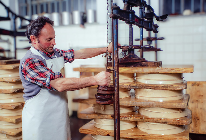 LAVORAZIONE TOMA FONTINA - 6556 - immagine 1