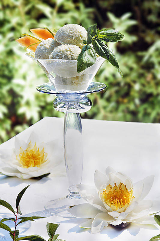SORBETTO DI LIME E BASILICO - S177900