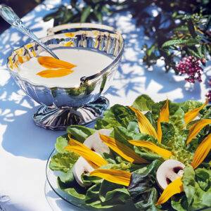 INSALATA DI FIORI DI GIRASOLE - S177900