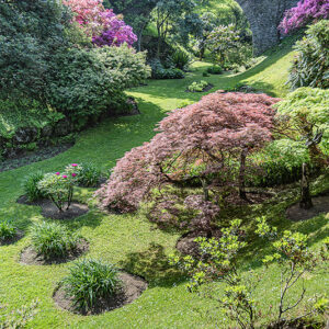 GIARDINO, GARDENING, VILLA TARANTO, VERBANIA, ITALY - 2711