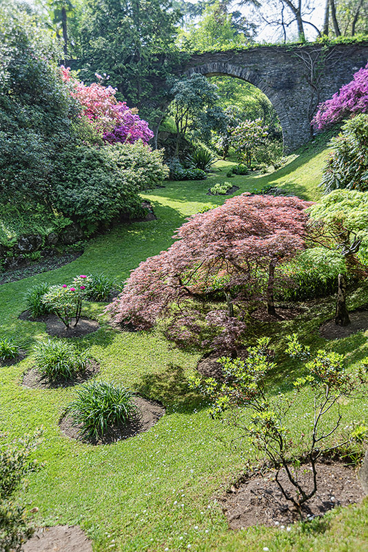 GIARDINO, GARDENING, VILLA TARANTO, VERBANIA, ITALY - 2711