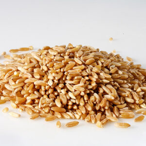 GRANO KAMUT -  3089